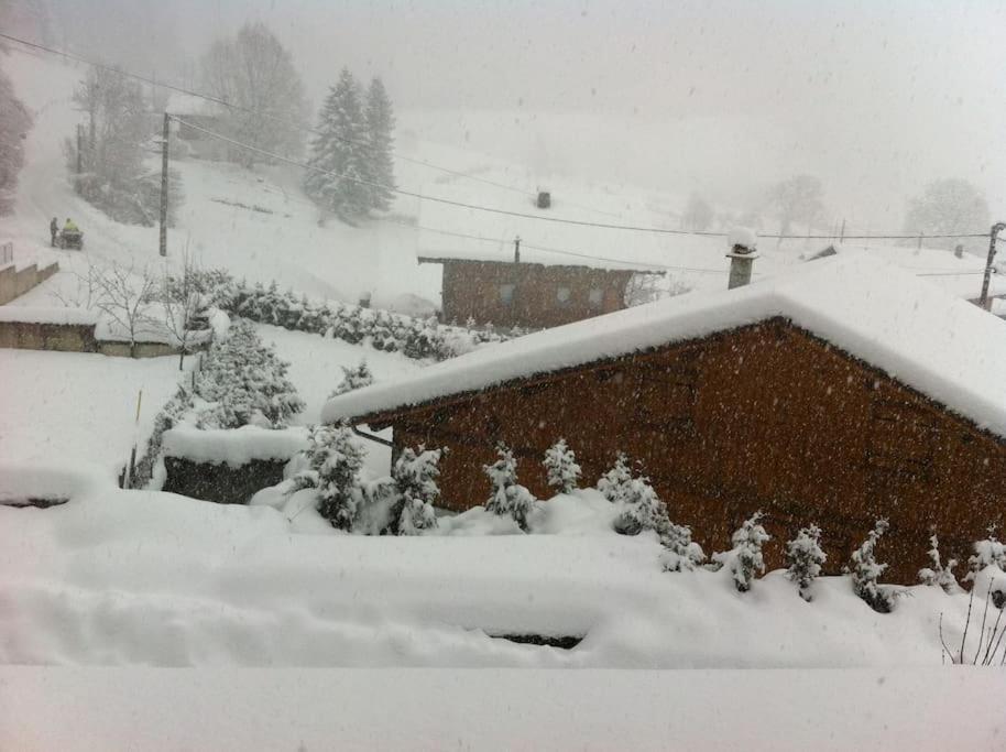 Dans Hameau, Pres Des Pistes Logement De Plein Pied Au Calme Taninges Extérieur photo