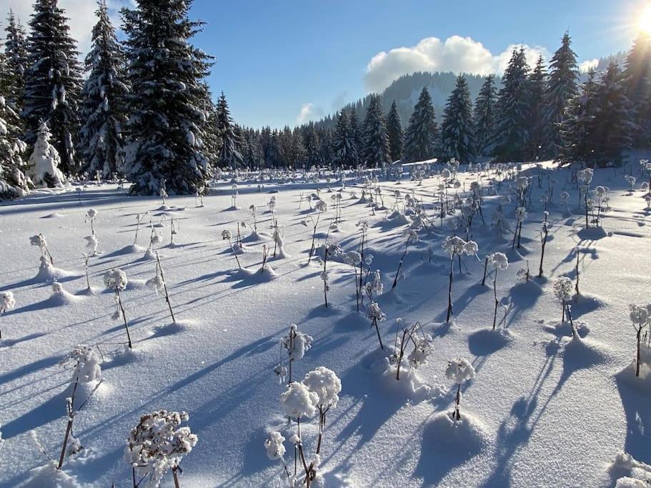 Dans Hameau, Pres Des Pistes Logement De Plein Pied Au Calme Taninges Extérieur photo