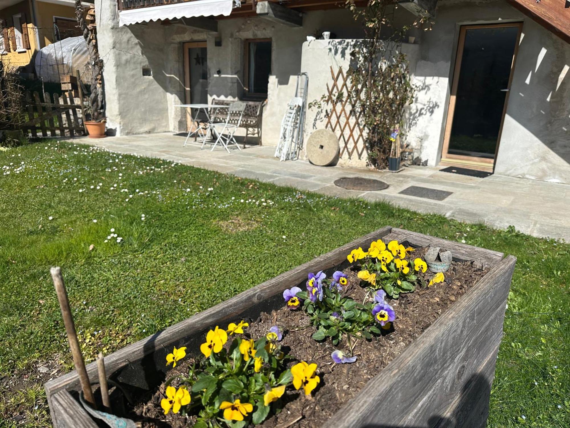 Dans Hameau, Pres Des Pistes Logement De Plein Pied Au Calme Taninges Extérieur photo